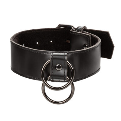 Euphoria Collection Collar w/Chain Leash