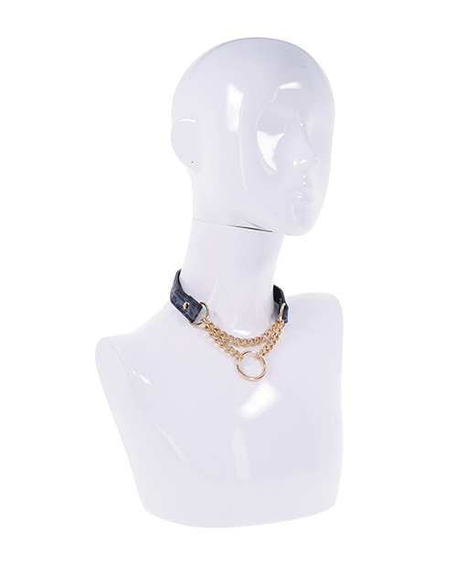 SS099-74 Gallery C