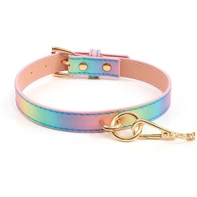 Hello Sexy! Hot Bitch Collar & Leash - Iridescent Rainbow